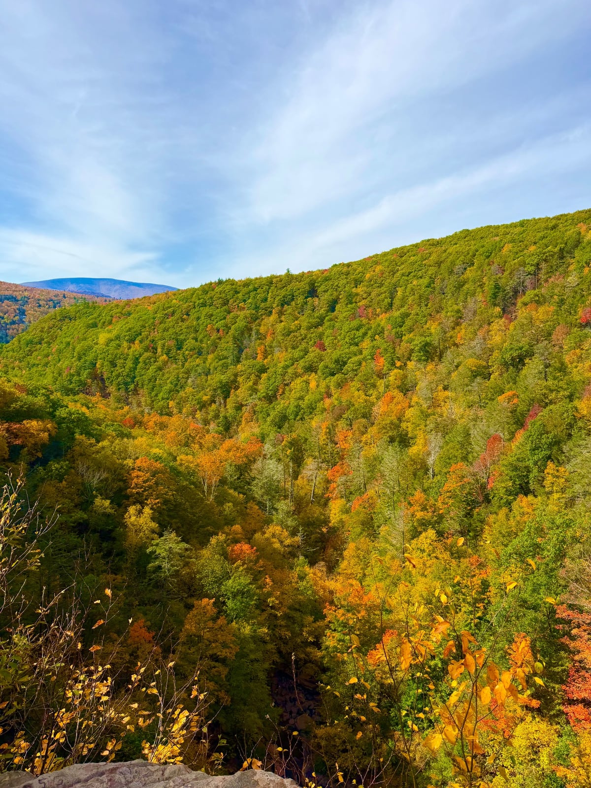 Fall foliage covering the mountains of Kaaterskill Clove in the Catskills