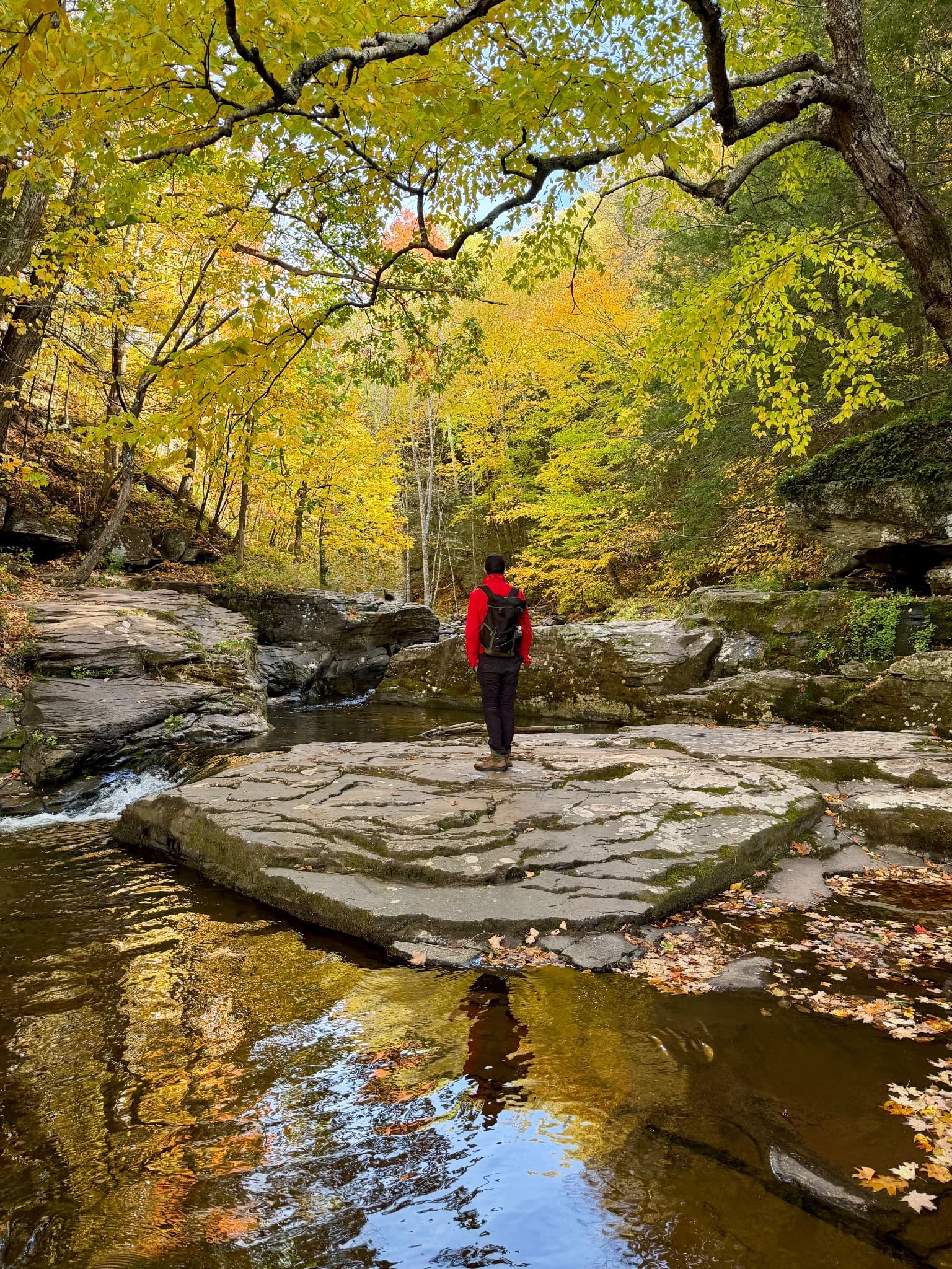 Standing on a rock ledge above Kaaterskill Clove with fall colors