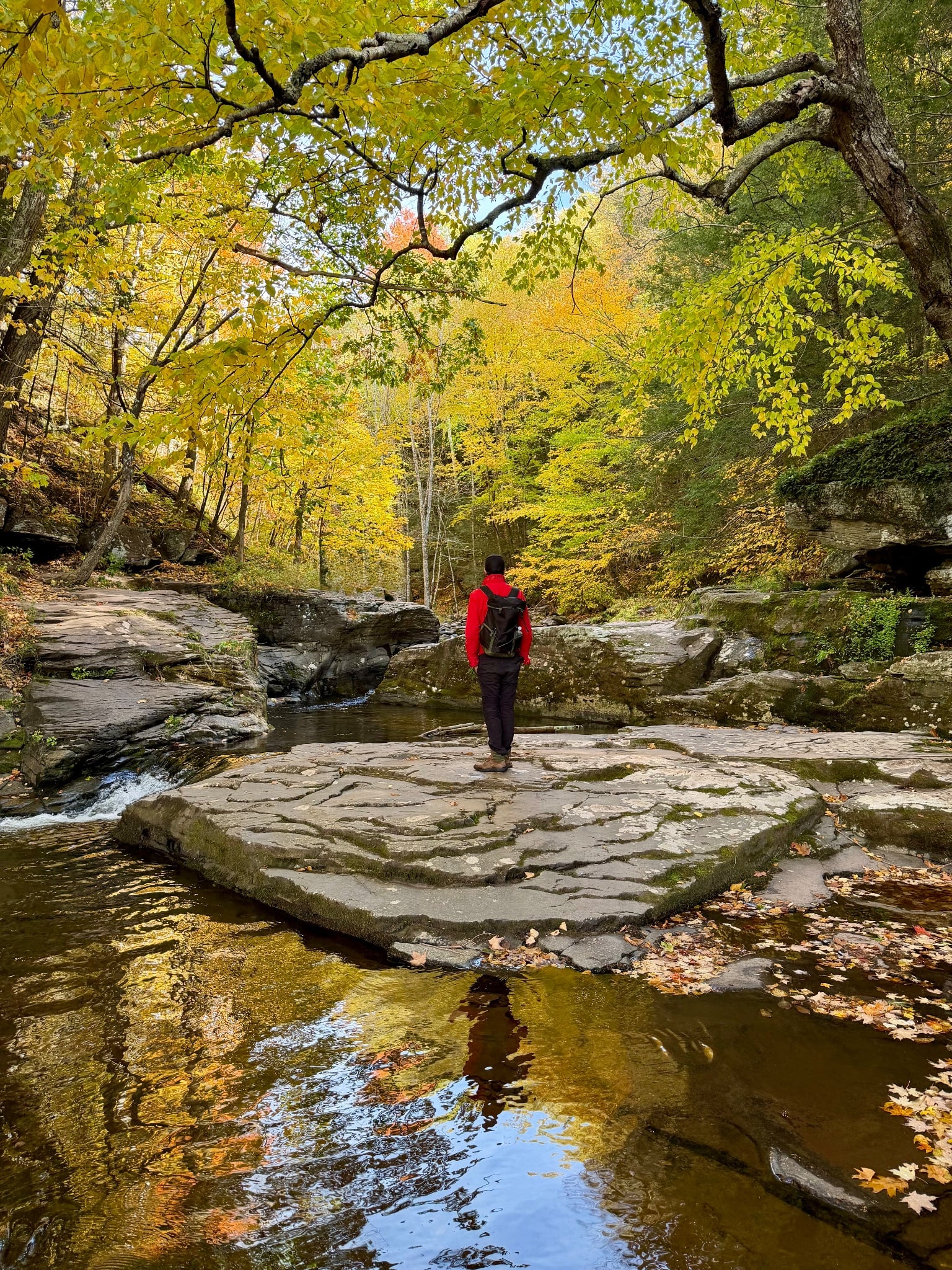 Standing on a rock ledge above Kaaterskill Clove with fall colors